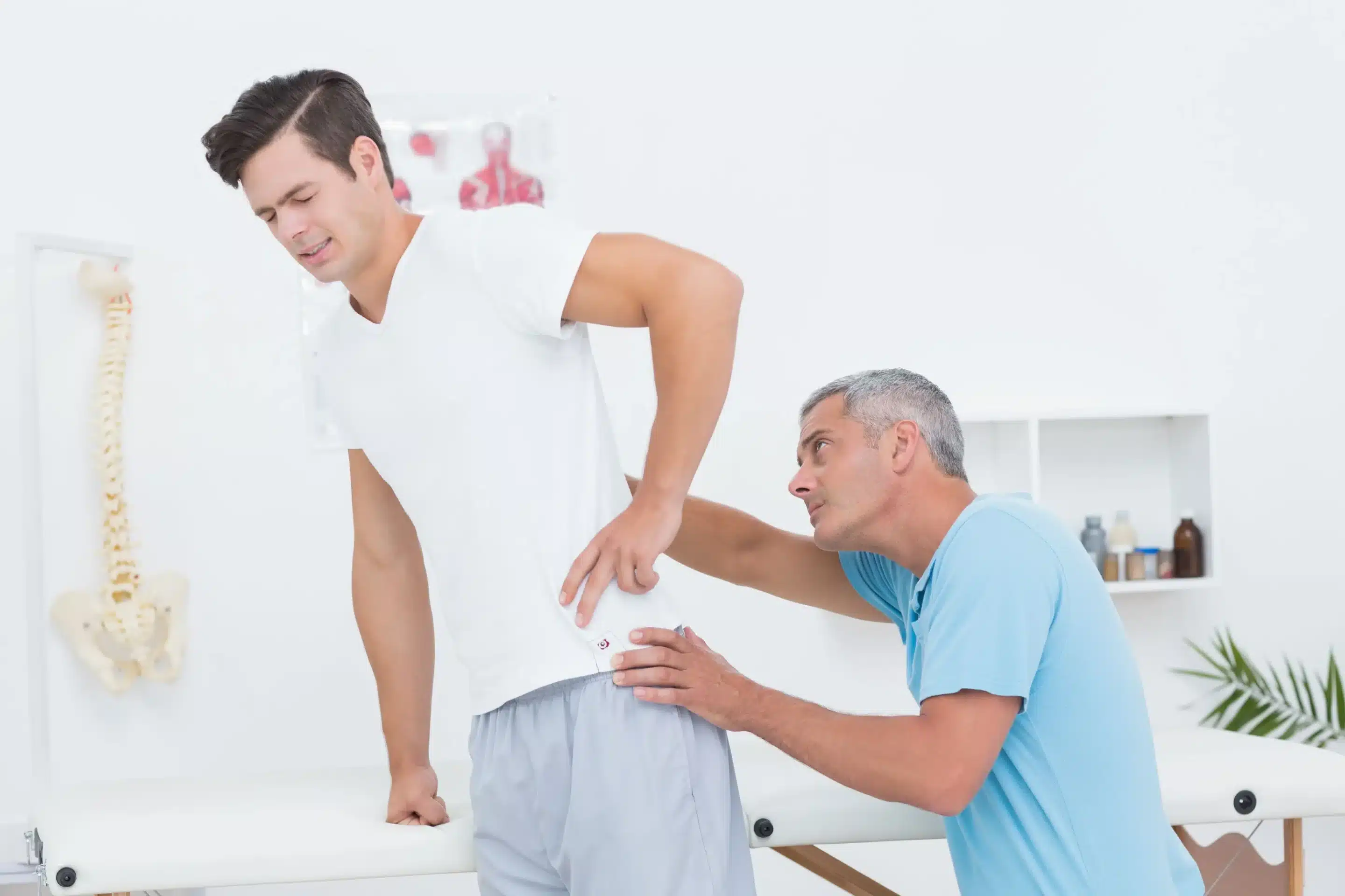 Longwood Chiropractic Services Longwood Chiropractic Services