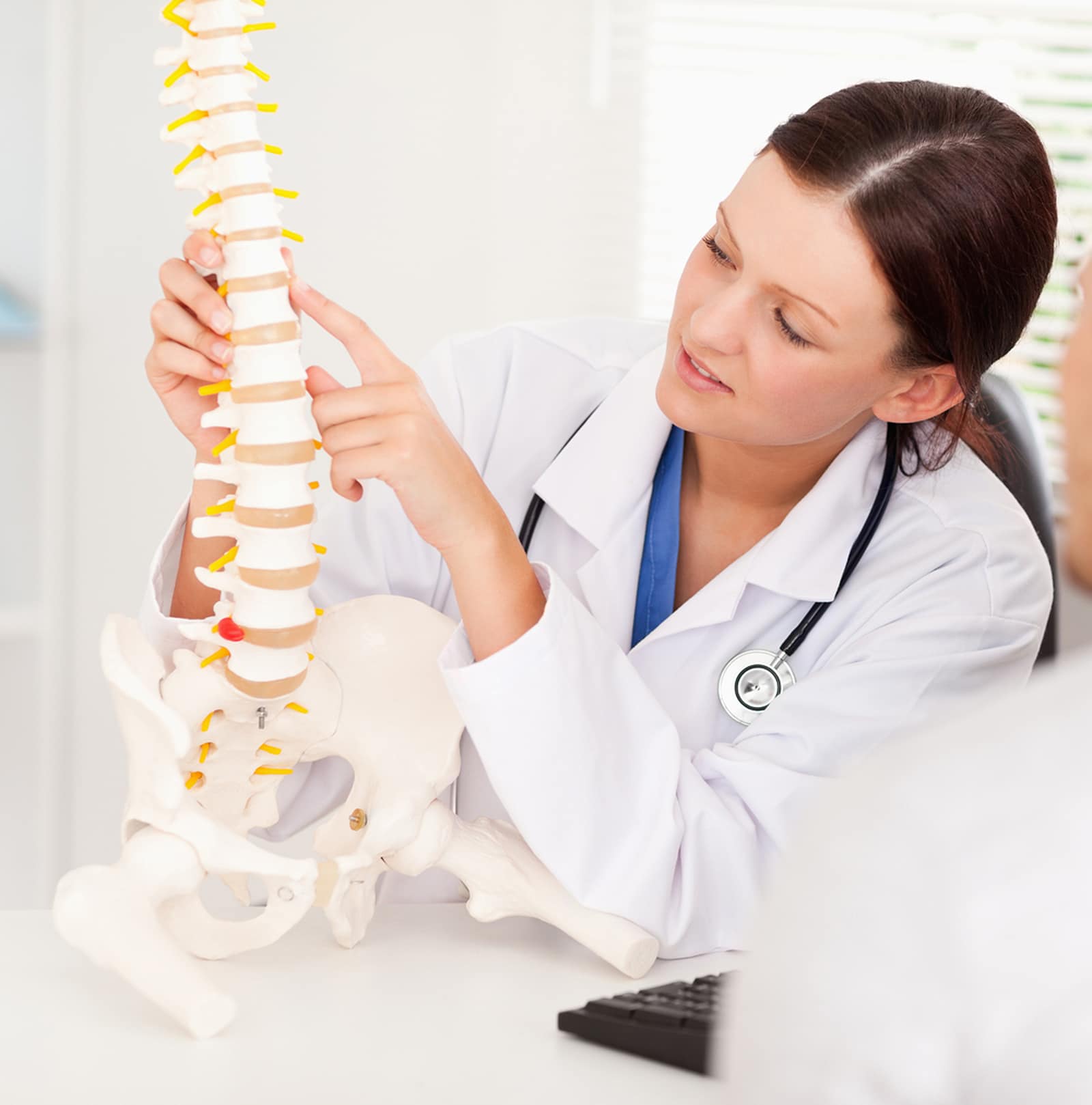 Comprehensive Chiropractic Services We Offer