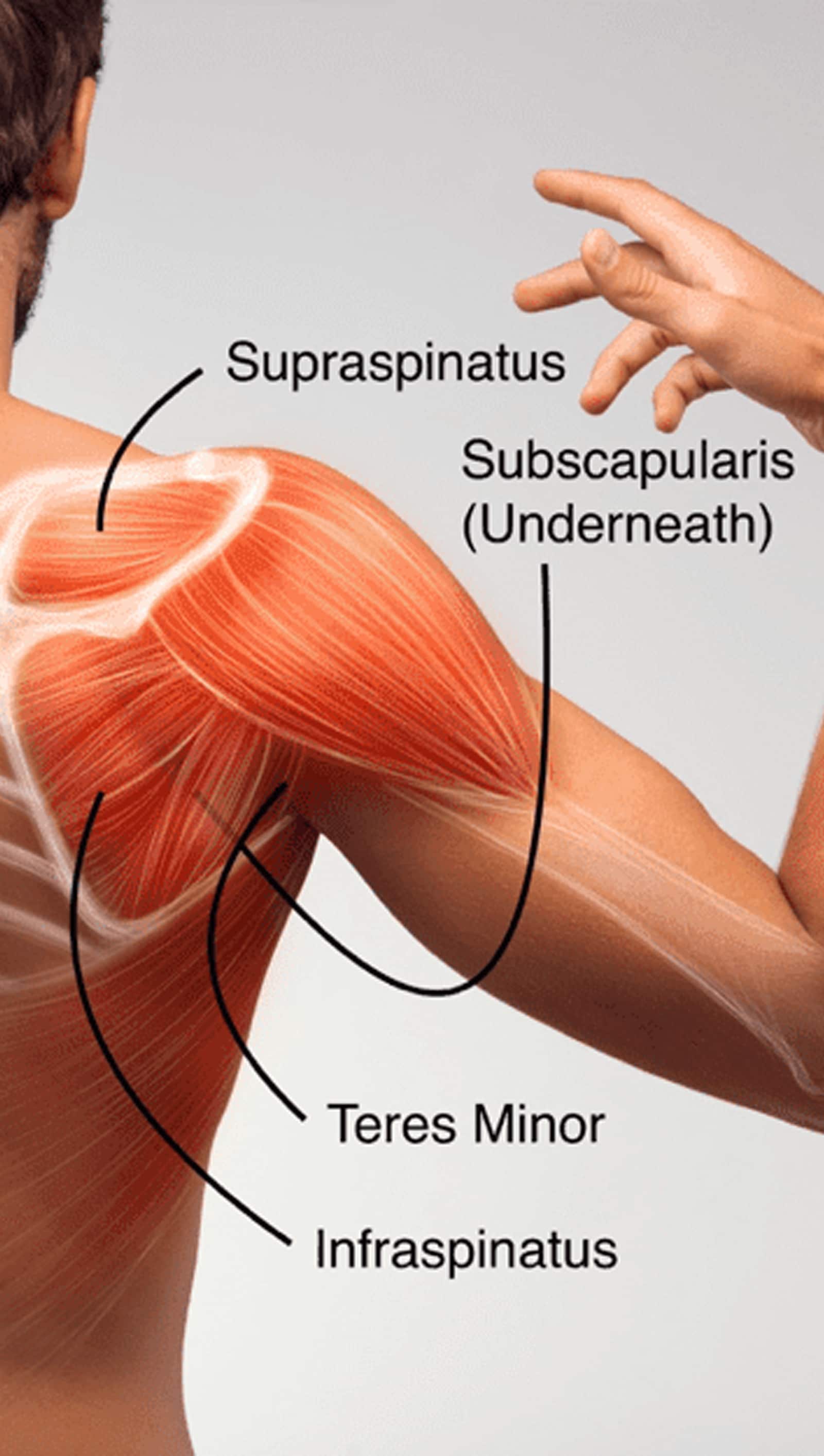 Rotator Cuff Injuries