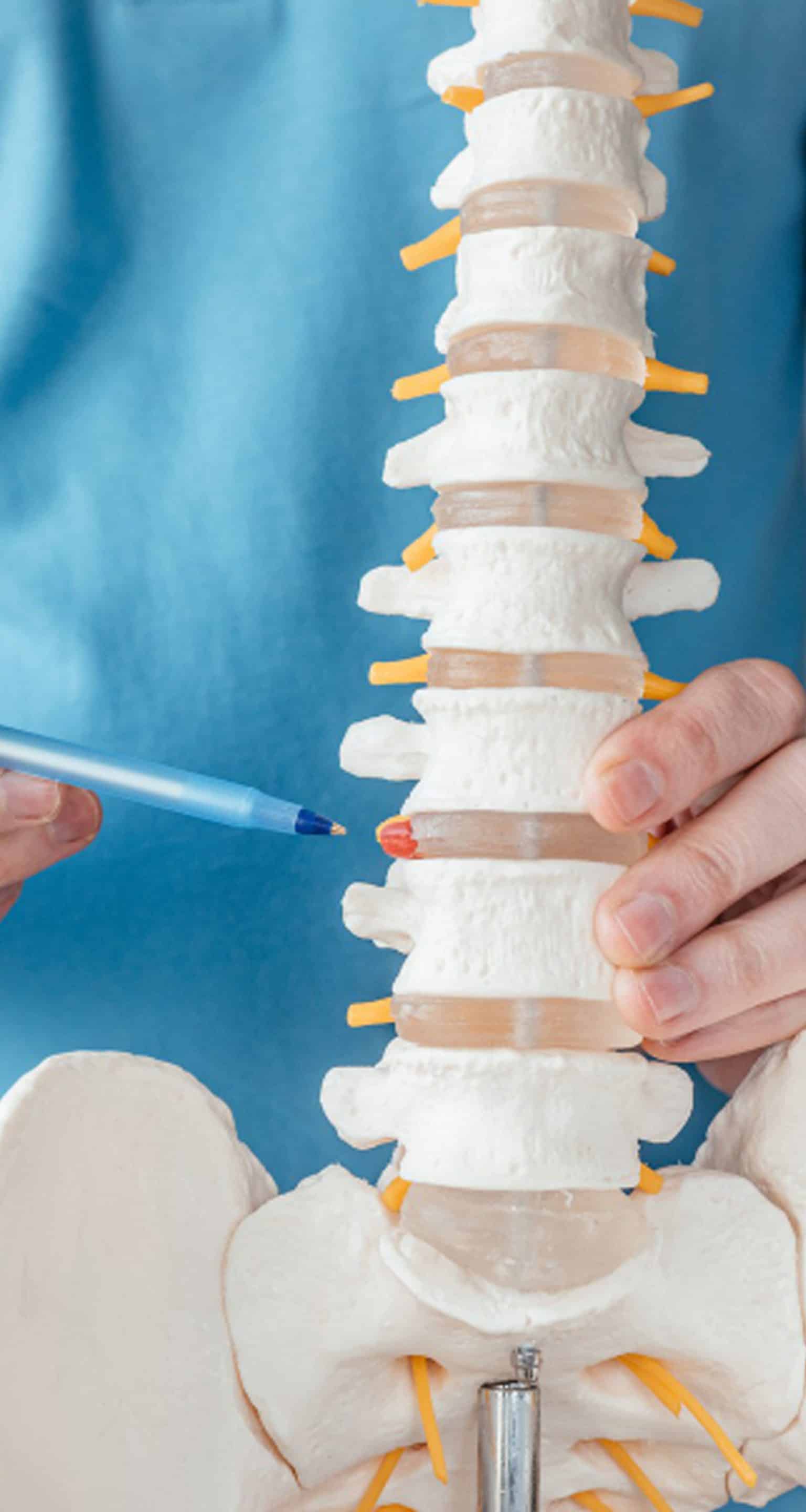 Benefits of Spinal Adjustments