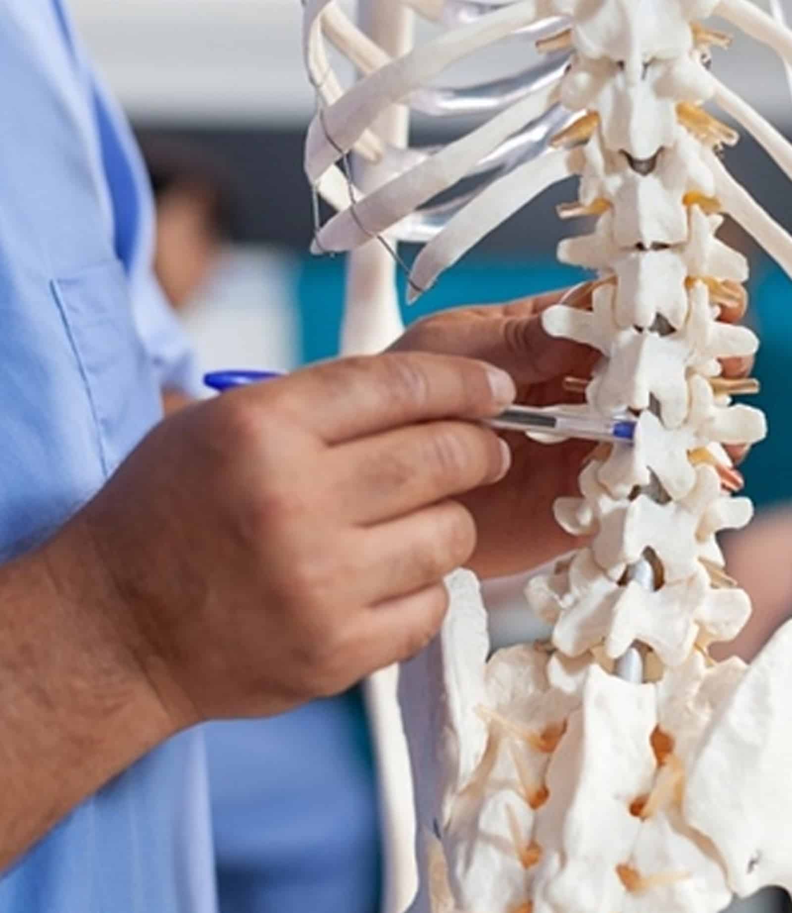 Experienced, Licensed Chiropractors