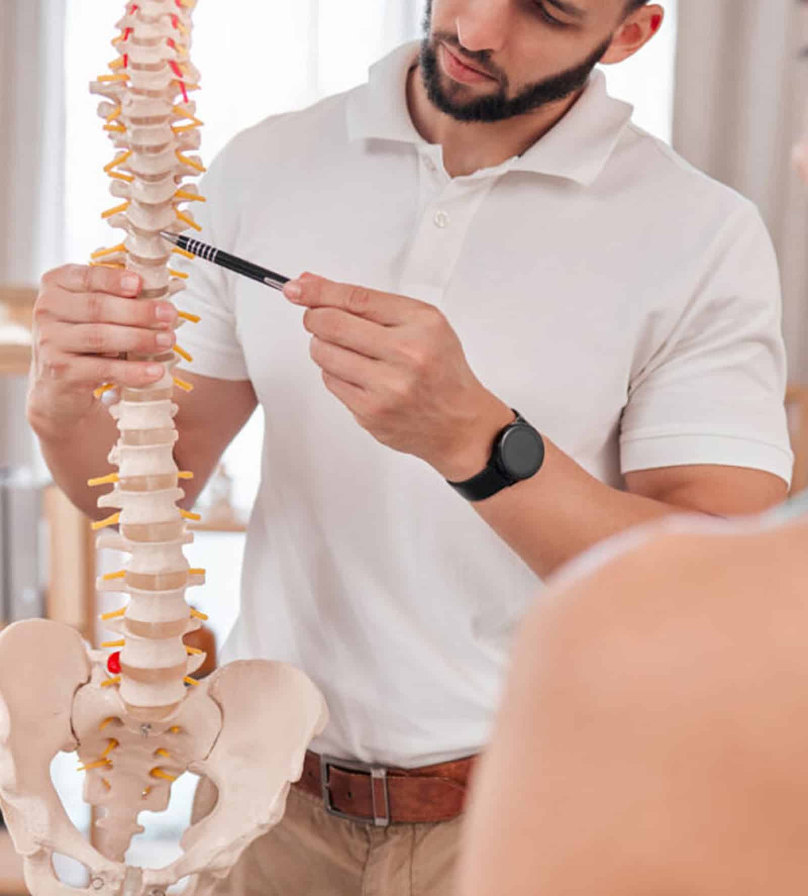 Experienced Chiropractors
