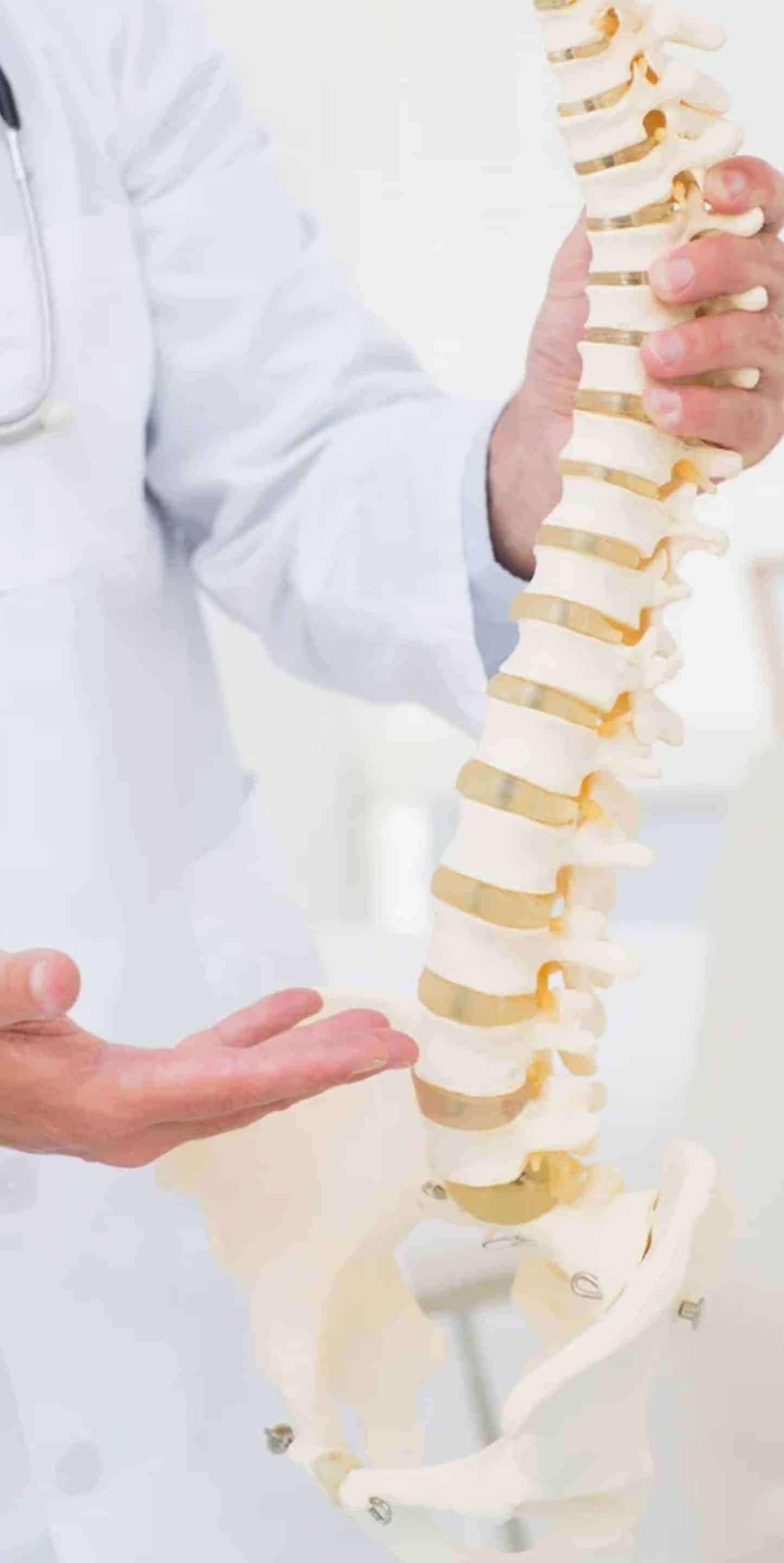 Spine and Its Role in Health